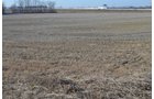 Property photo 11 - East Allen County - 55 Acre Land Auction